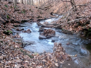 Flowing Creek